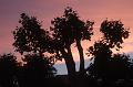 2011-05- (1786)
